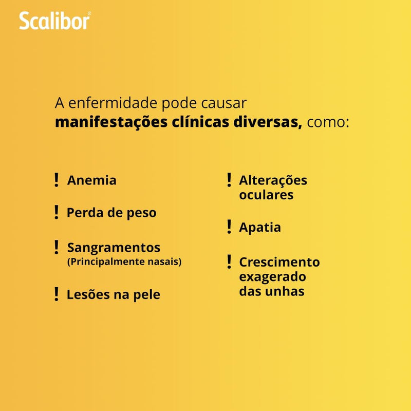 Scalibor Coleira Antiparasitária 65cm para Cães